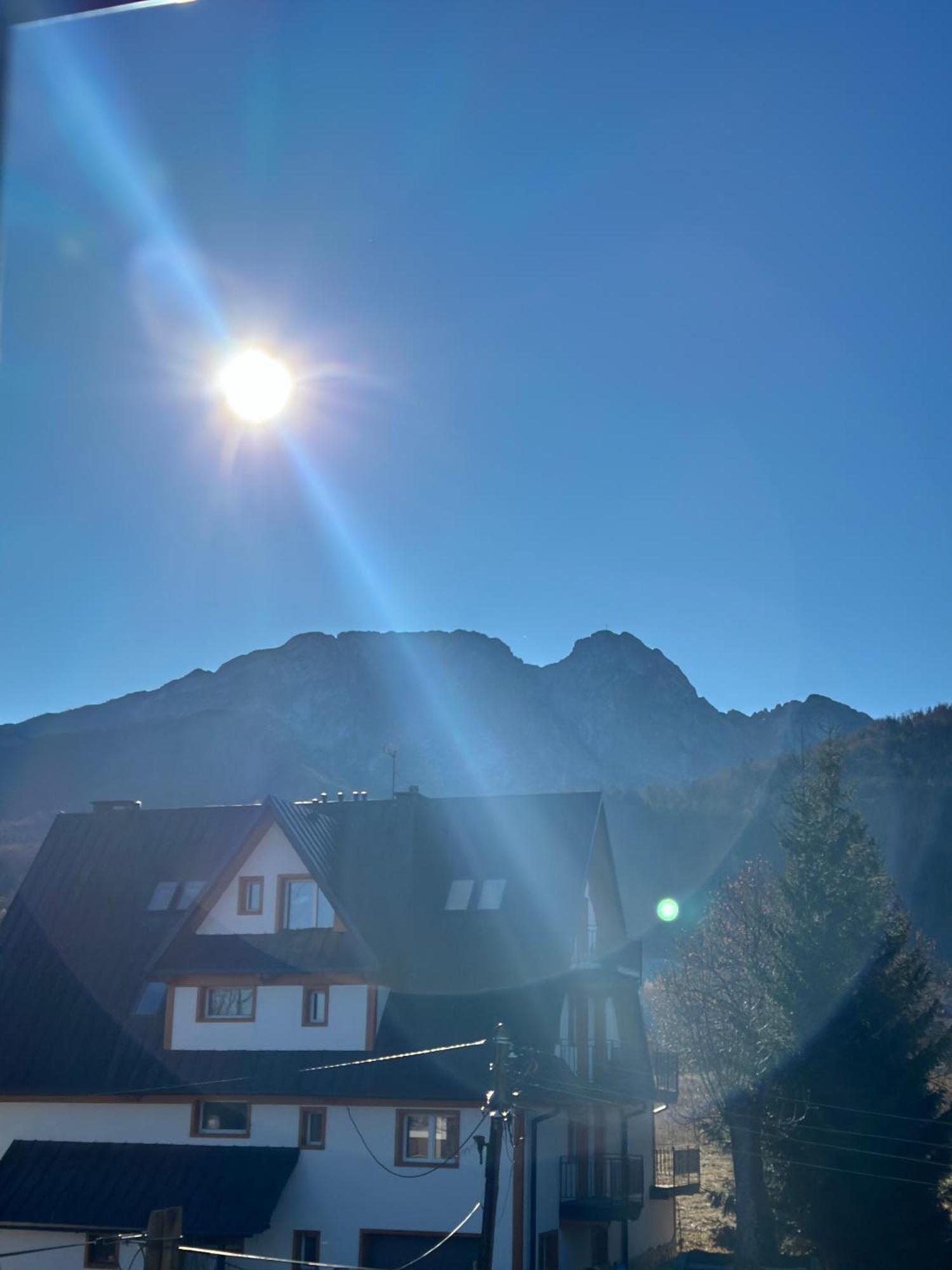Willa Szafran Zakopane Exterior foto